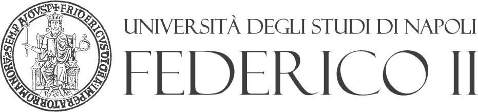Università degli Studi di napoli Federico II